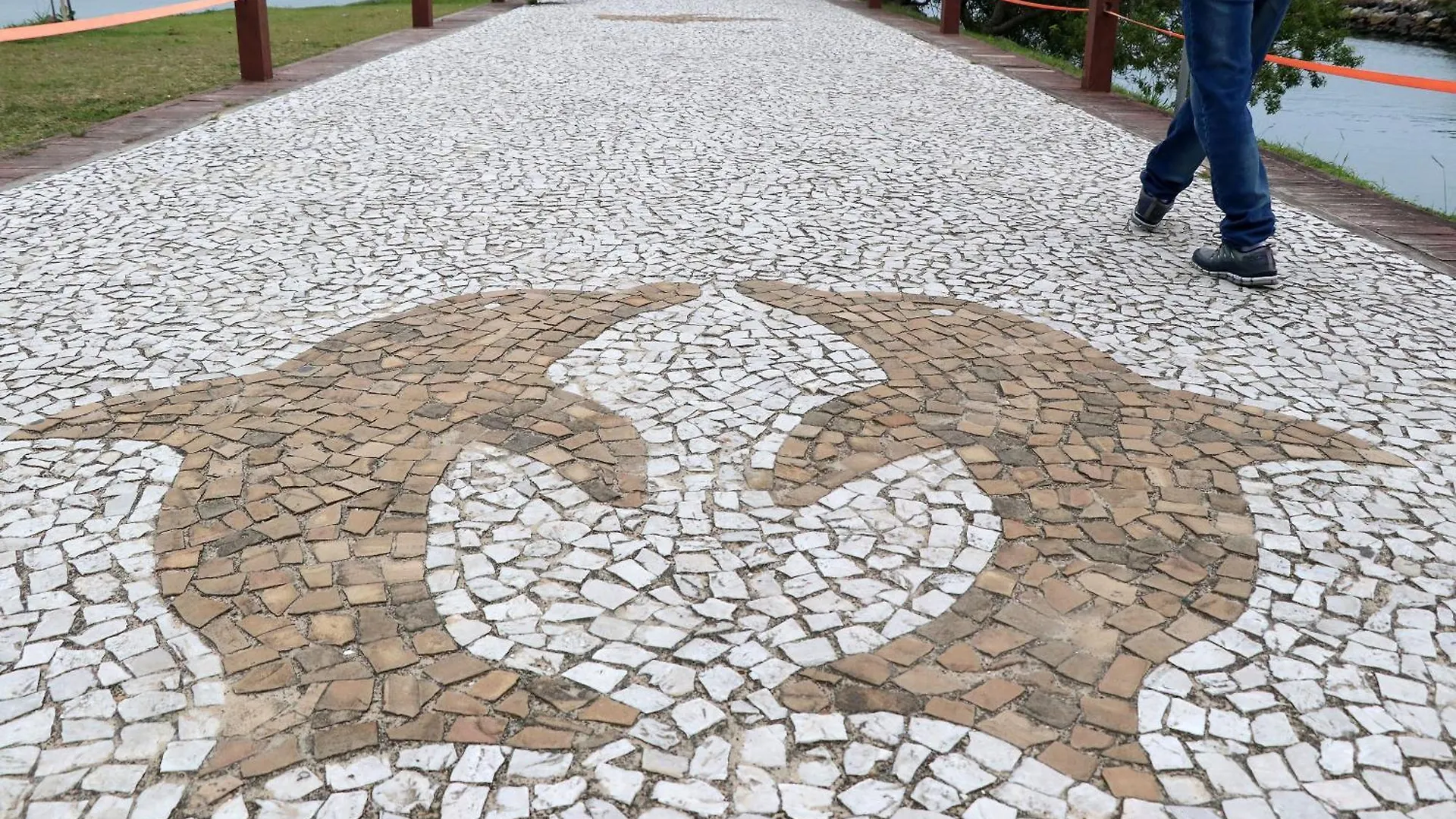 Holiday home Curta Praia De Armacao - Casa Coqueiro Penha